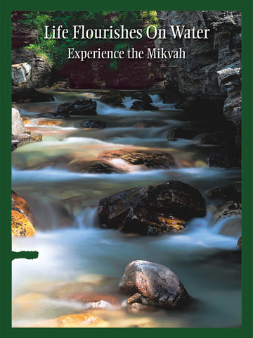 Wall Poster: Experience the Mikvah